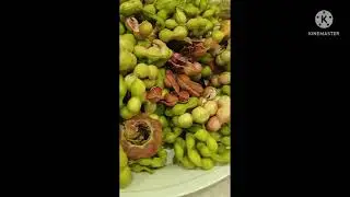 Manila Tamarind(Camachili)#short#Fruits