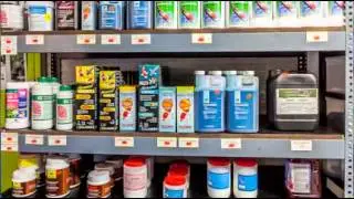 Super-Koi, Vissen, Vijvermateriaal, Sleidinge (Evergem)