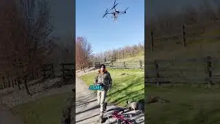 Animal transportation in a hilly area | #shorts