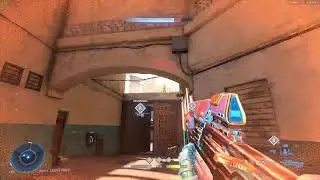halo8 solo