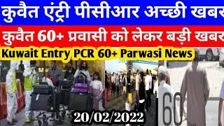 Kuwait Today Entry PCR Good Breaking News | Kuwait Today 60+ Parwasi Visa Big News