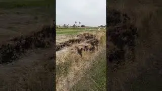 ٩ كانون الثاني ٢٠٢٦