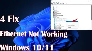 Ethernet Not Working Windows 11 - 4 Fix