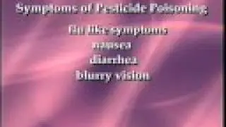 Alternative medicine, chiropractic health,functional foods
