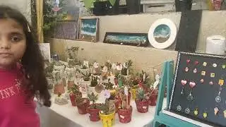 Mrs Sana Iqbal /TERRARIUM DIY : SEALED BOTTLE GARDENS 🌱 Closed Terrarium Plants miniature plantation