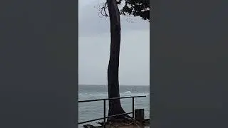 ocean dancing with rain🌧📍Pearl Park Beach Resort Neil Island #viral #beach #ocean #holiday #andaman