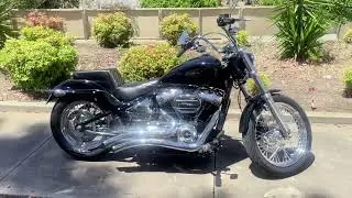 2022 Harley Davidson Softail Standard Motorcycle