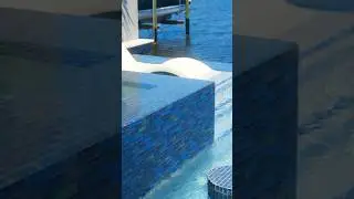 Pool Construction Timeline: What to Expect From Start to Finish #CustomPools #DreamPool