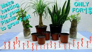 Make heating for your plants to grow fast