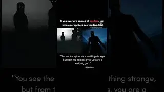 how spider see us #viralvideo #popular #horror