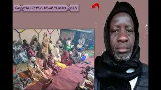 «LES PAROLES DE CHEIKH IBRA AU GAMMU DE CHEIKH HABIB NDIAYE » -2025