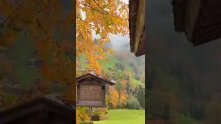 #autumn in #switzerland #shorts #youtubeshorts 🎥 @SylviaMichelPhotography