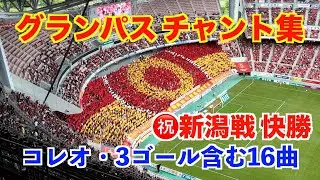 【名古屋グランパス】新潟戦 勝利のチャント集・歌詞付き 〜コレオや3ゴールも含めてた試合中の16曲〜 （2025年5月31日 at 豊田スタジアム）
