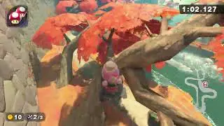 Cheep Cheep Falls - 1:56.026 - flurry 🇺🇸 (Mario Kart World world record)