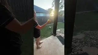 Silly Pug Getting Tricked When Playing Fetch 🤣