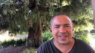 Tr&ecirc;s Papas, Guerras, Corrup&ccedil;&atilde;o da Igreja e Rupturas: O Cisma do Ocidente e o Caminho para a Reforma