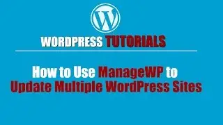 Wordpres Tutorial - Wordpress Training-How to Use ManageWP to Update Multiple WordPress Sites