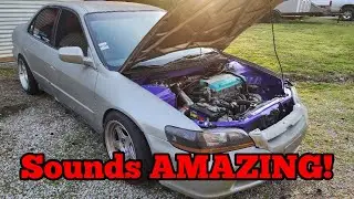 Бюджетный ALL MOTOR F20B звучит УДИВИТЕЛЬНО! | Безумный кроссовер VTEC!!