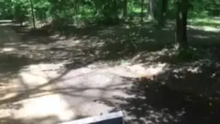 Crewcutservices.com Toro dingo Tx 1000 mini skid steer moving dirt, grading and doing work