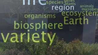 Sustainability focus for September: Biodiversity and water consumption