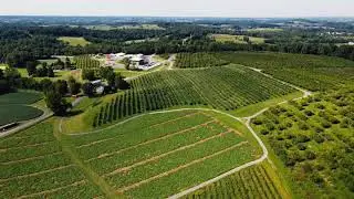 Baugher&rsquo;s Orchards and Farm - 100 years in Carroll County, Maryland