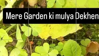 14 जनवरी 2026