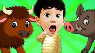 Zoo song | Bears, Bison, & Buffalo | DoReMi Kids Songs