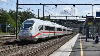Trains at Vaires Torcy | PE - S + Transilien Line P - 19/08/2019