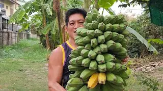 Masarap ang kain kahit kanin lagang saba
