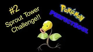 Pokemon Perfect Soul-Ep 2-THE SPROUT TOWER CHALLENGE!!!!