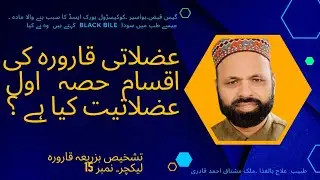 تشخیص بزریعہ قارورہ ۔uroscopy.عضلاتی قارورہ۔ کی اقسام شناخت اور اس کے خواص