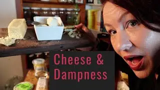Cheese & Damp in Chinese Medicine - I have dampness, can I eat cheese?