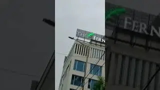 #thefern#