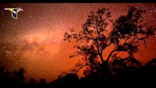 Photographer Tim Laman explores AWCs Piccaninny Plains Wildlife Sanctuary