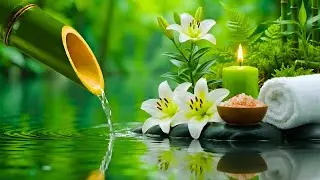 Relaxing Music for Deep Sleep 🌿 Stop Overthinking & Calm Anxiety