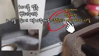 반려동물 살균 탈취 소취제  제로프 ZEROFF 집사와 함께 사용하세요