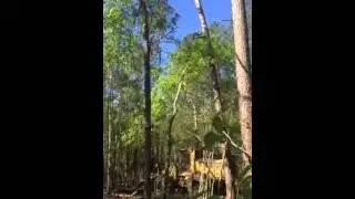 Hydro axe tree shear in action