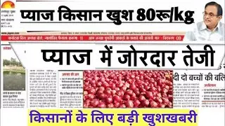 30 January 2026. Onion prices rise in Indore Mandi, Onion prices today, today's onion prices, oni...