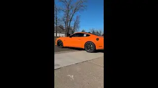 That orange and black combo! 👌Pure perfection! 😍