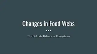 Changes in Food Webs