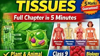 Tissues Full Chapter in 3 Minutes | Class 9 Biology | UP Board & CBSE Exam 