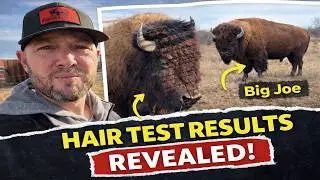 The Hair Test Results Are In&hellip;This Changes Things!
