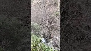 Puente Abuchite 