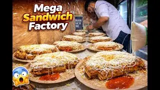Mega Sandwich Factory Of India