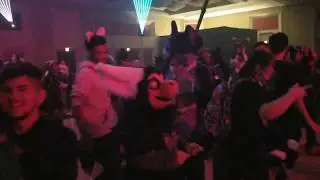 Dance Party at MFF2019 (Night 1/Part 1)