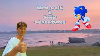Mossy trails, shoreline sunsets & Sonic Adventure DX