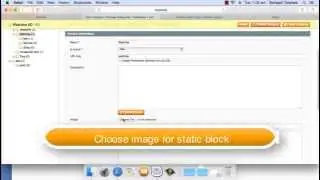 How to display static block in product listing categories