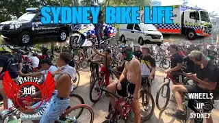 POLICE SHUT DOWN SYDNEY