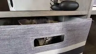 Mr.Clive in a box part 2