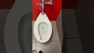 2021 Kohler ultra high cliff toilet